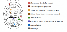 figura 1_caso DM 52