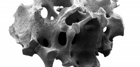 FIG 1cerabone_big_botiss