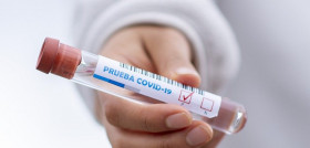 test-tube-antigenos