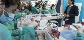 IMG-exposicion-expodental-stand