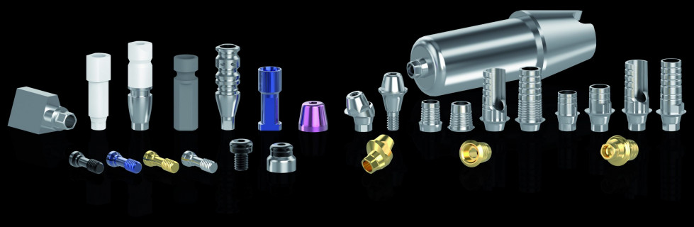 ZIRKONZAHN_Implantatprothetik Set - ohne Titanium Posts (groß) (print)