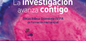 Inibsa