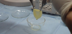 Laboratorios Quintón