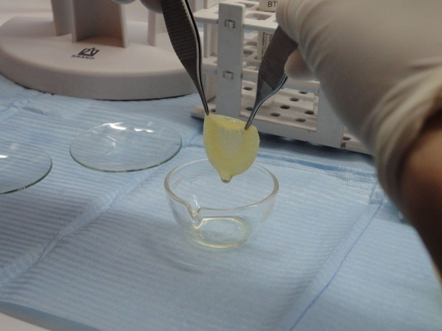 Laboratorios Quintón