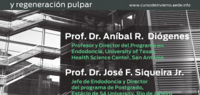 CursoInviernoAede