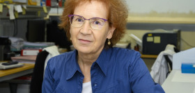MARGARITA DEL VAL CSIC