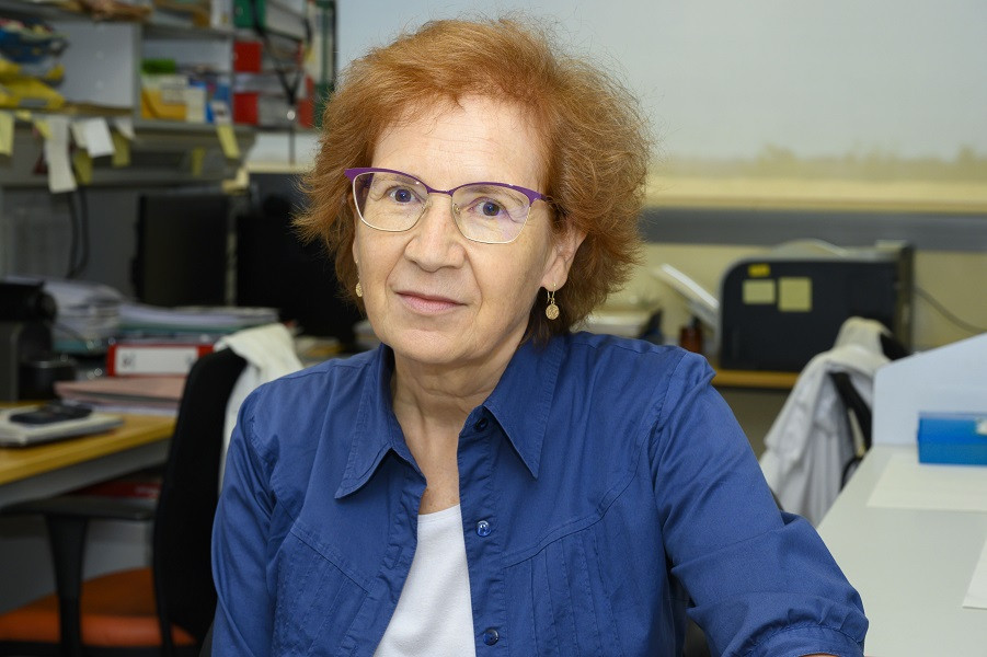 MARGARITA DEL VAL CSIC