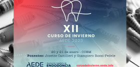 Curso de Invierno AEDE 2023