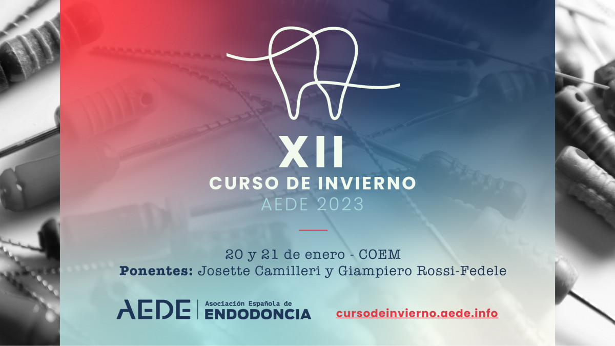 Curso de Invierno AEDE 2023