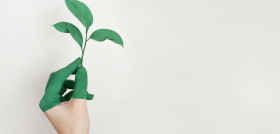 Energía verde pexels alena koval 886521
