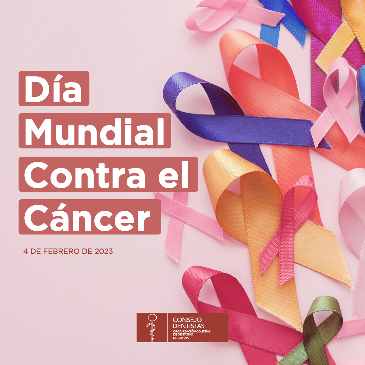 DIA MUNDIAL CANCER CONSEJO3 2 2023