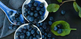 Arandanos pexels martha vera 14193125