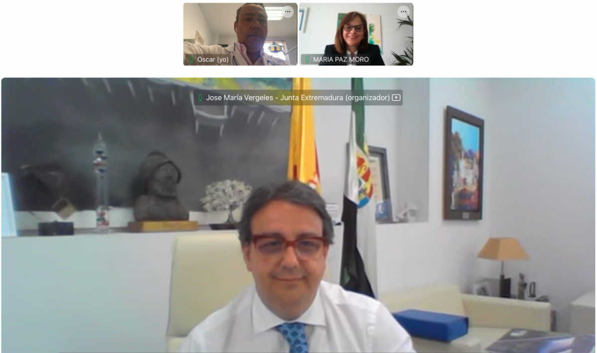 Reuniou0301n virtual con el consejero de Sanidad de Extremadura