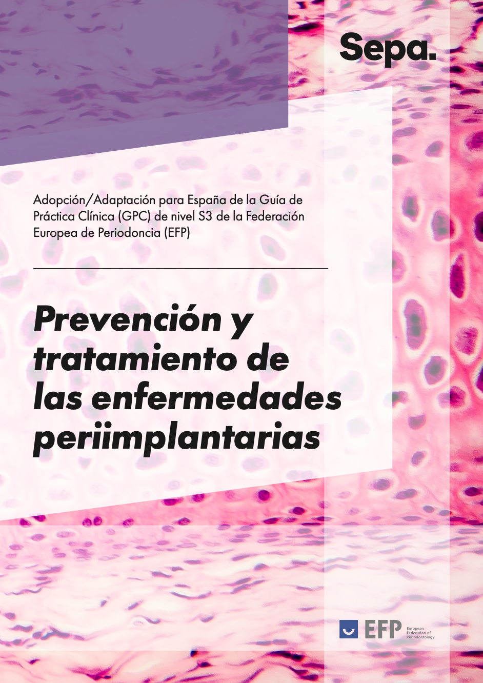Captura de pantalla 2025 04 08 a las 15.12.19