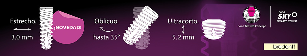 Banner 980x180px copaSKY ES