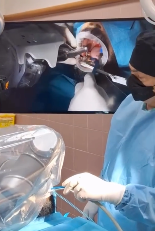 Dr. Pradies