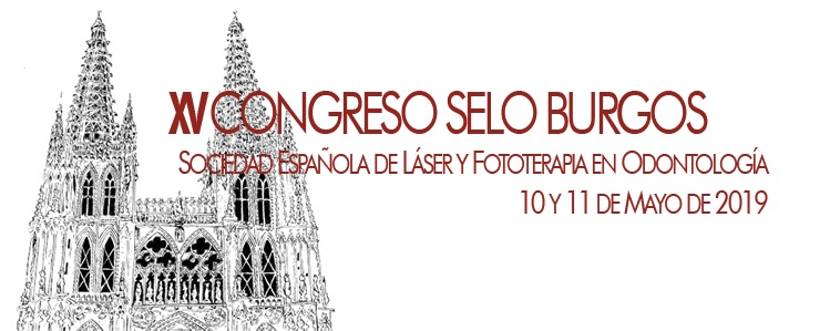 Burgos acogerá la decimoquinta edición del Congreso de la Sociedad Española de Láser y Fototerapia en Odontología. FOTO: Selo