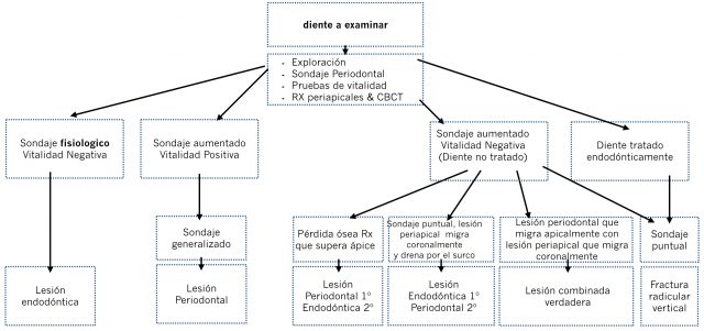 Tabla 1. Árbol de toma de decisiones en relación a la sintomatología clínica y radiográfica.