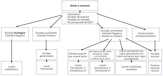 Tabla 1. Árbol de toma de decisiones en relación a la sintomatología clínica y radiográfica.