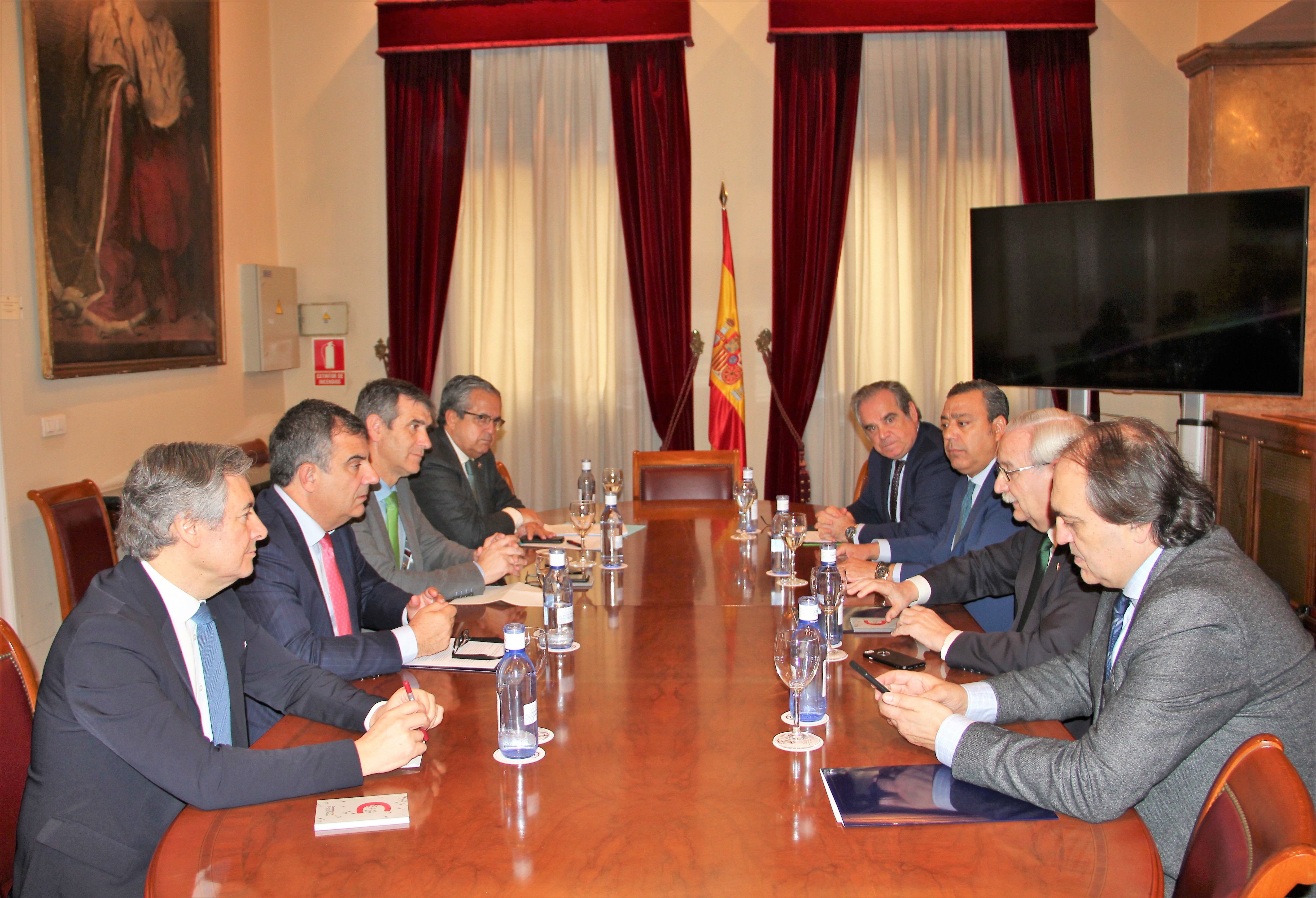 Un momento de la reunión entre los Consejos Generales de las sociedades profesionales y el Grupo Parlamentario Popular en el Senado. FOTO: Consejo General de Dentistas