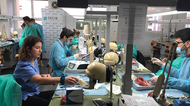 Los participantes tuvieron la oportunidad de realizar prácticas sobre cabezas de cerdo y fantomas con el objetivo de dominar las herramientas necesarias para mantener dientes con patología periapical, en lugar de extraerlos y colocar implantes.